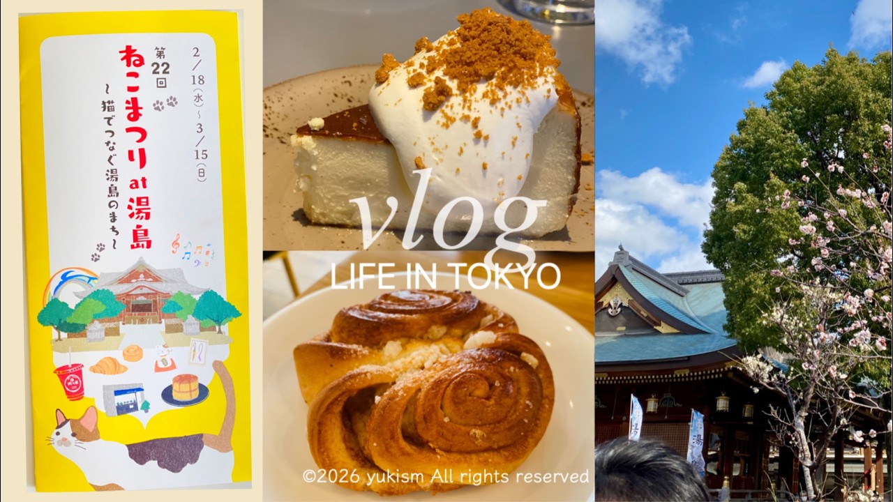 vlog ｜春を待ちわびる日常｜サーモンスープとシナモンロール🇫🇮｜ねこまつり🐾と御朱印集め⛩️