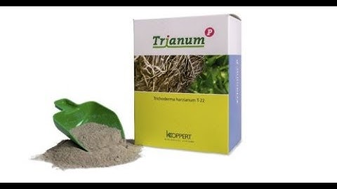 Application guidelines of trianum on plants