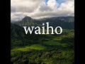 Hawaiian Word Of The Week Waiho