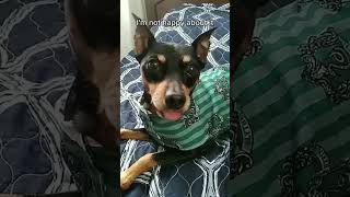 Everybody's Problem - Today