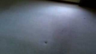 VIDEO0039.3gp