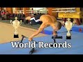 TOP 10 Calisthenics World Records #1 (2020)