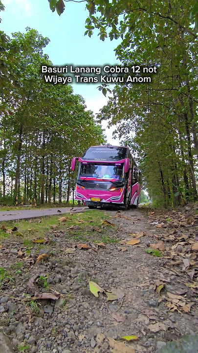 Basuri Lanang Cobra 12 Not, Wijaya Trans Ex Feminim #wijayatransfeminim #basuri12not