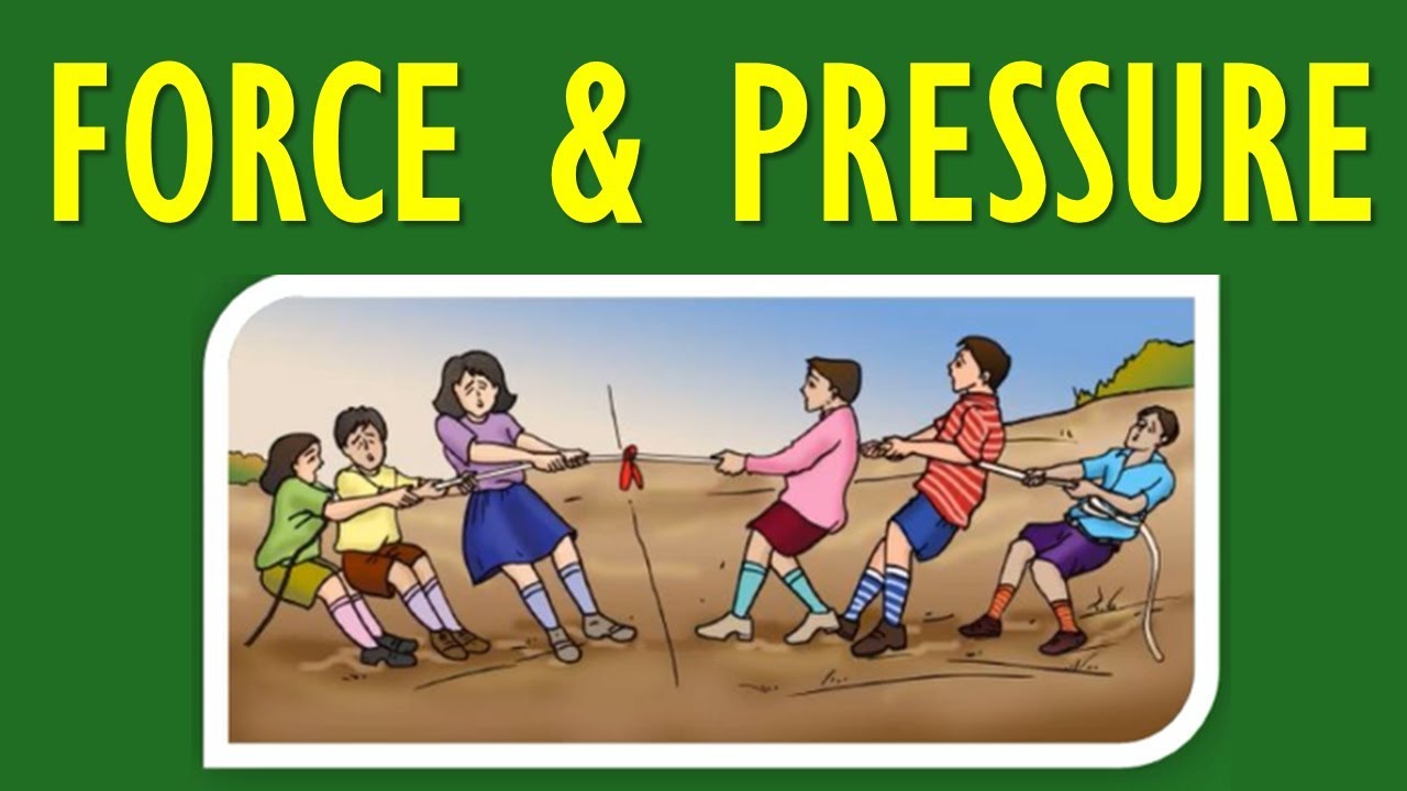 case study of force and pressure class 8