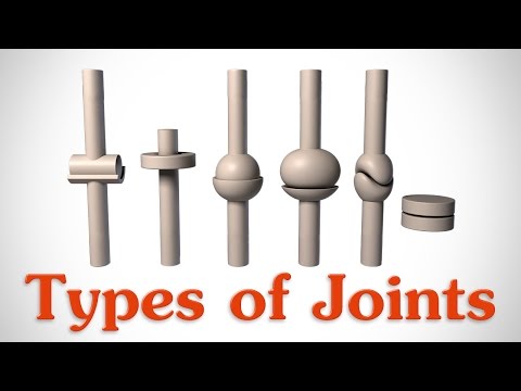 Vídeo: Les articulacions planes són multiaxials?