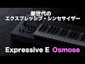 鍵盤を押し込む！ベンドする！左右に揺らす！かき鳴らす！Expressive E Osmoseレビュー