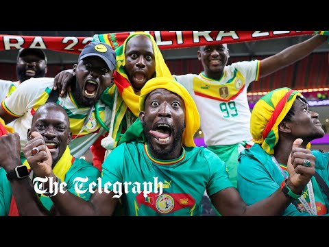 The lions of teranga: what can england expect from their world cup round of 16 opponents senegal?