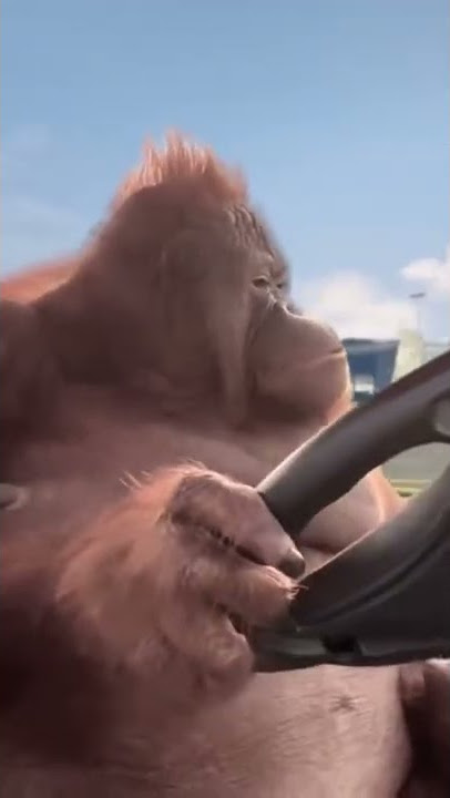 POV: it’s 2013, and your cruising around Los Santos