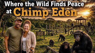 Chimp Eden Uncovered: Wildlife, Rescue & Raw Beauty | South Africa | Dr Jane  Goodall 