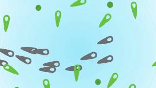 good vs  bad bacteria screenshot 5