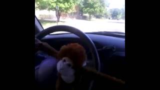 Twerking monkey