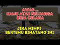 Harus Lebih Waspada Jika Mimpi Melihat Kalajengking, Arti Mimpi Melihat Kalajengking