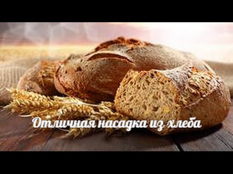 фидерная прикормка своими руками для карася фидерная прикормка своими руками для карася