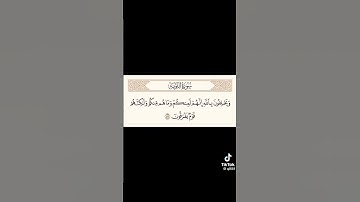 سورة التوبة من ٥٥ الى٥٦ #shortvide #اكسبلور #explore #دويتو #quran #لايك #قران #راحة_نفسية  #الهلال