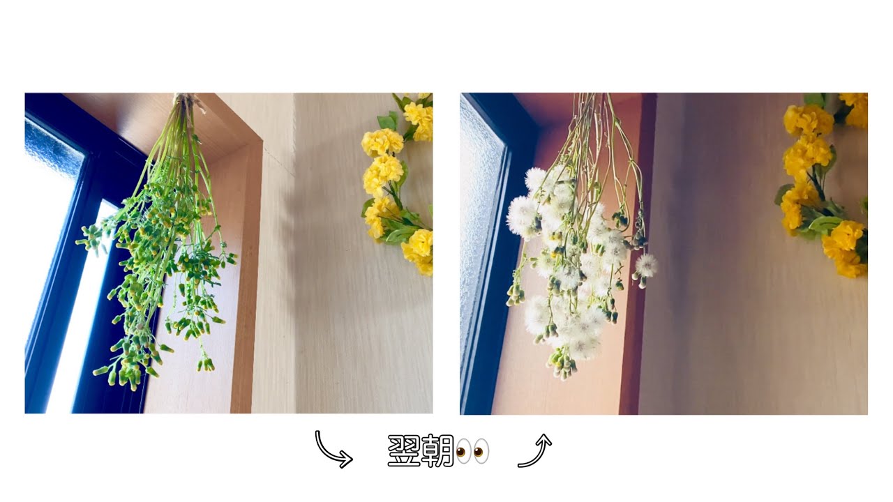 手作りドライフラワー maxresdefault.jpg