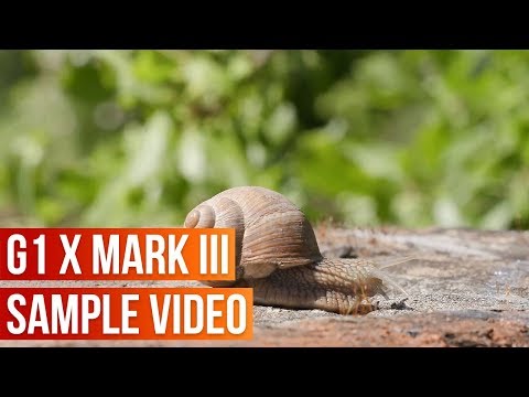 Canon PowerShot G1 X Mark III Sample Video