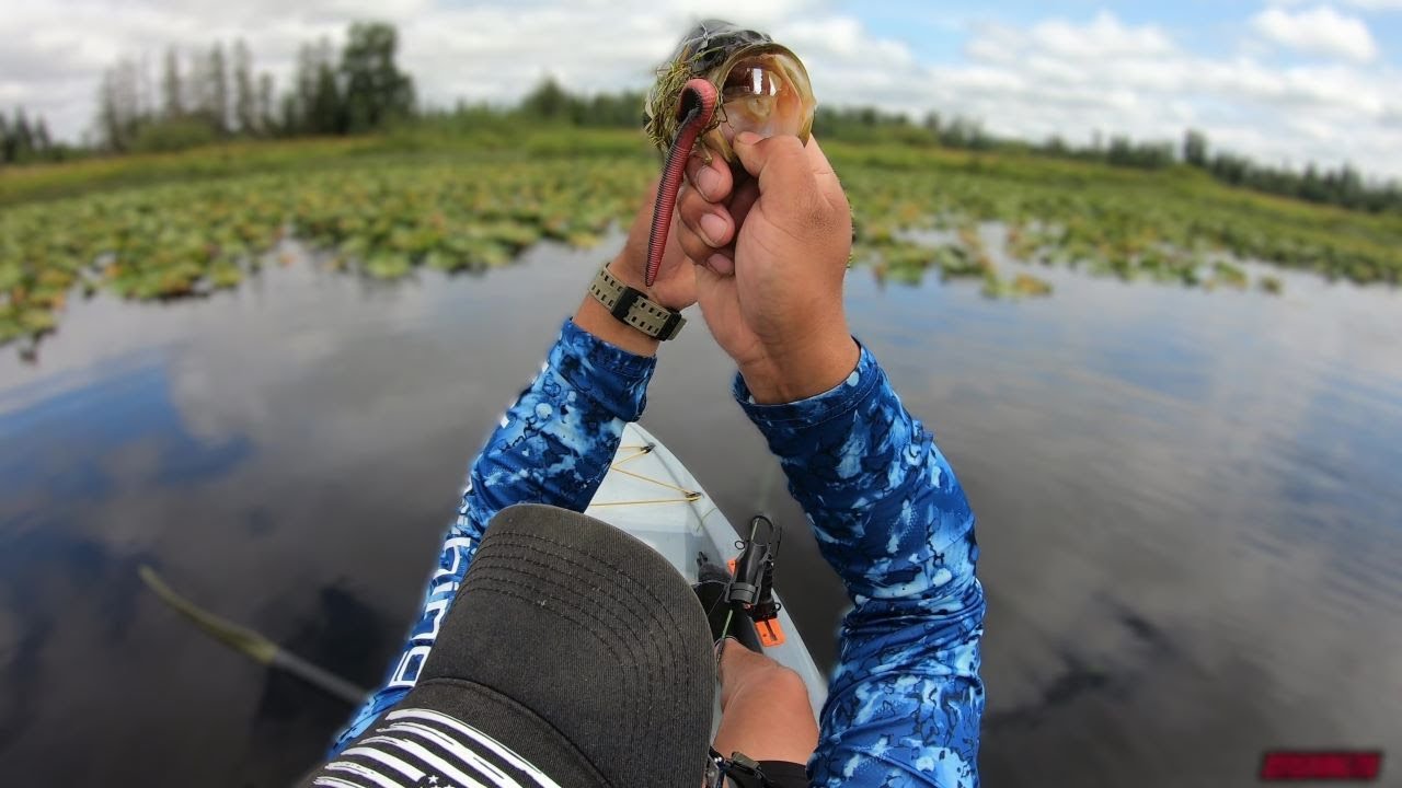 The SENKO saves the day/Bass Fishing