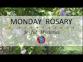 Monday Rosary • Joyful Mysteries of the Rosary 💙 May 20, 2024 VIRTUAL ROSARY - MEDITATION