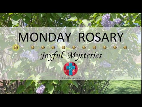 Monday Rosary • Joyful Mysteries of the Rosary 💙 May 20, 2024 VIRTUAL ROSARY - MEDITATION
