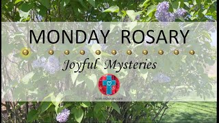 Monday Rosary • Joyful Mysteries of the Rosary  May 20, 2024 VIRTUAL ROSARY  MEDITATION
