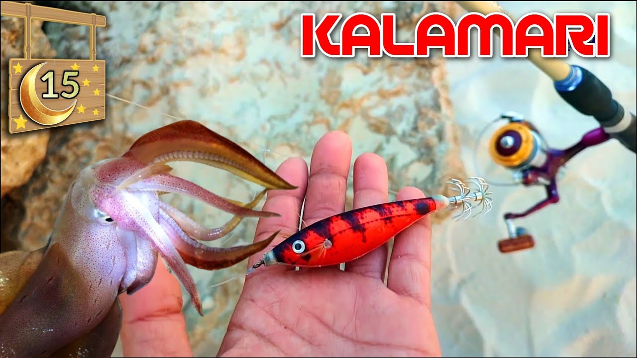 montage pêche au kalamar استهداف الكلمار بالقصبة من الشاطئ