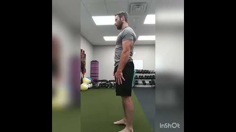 Scapular CARS Level 2: Hand by Side