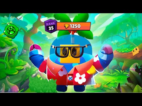 Pushing sprout to rank 35 | Beating the top 1 in the world ...