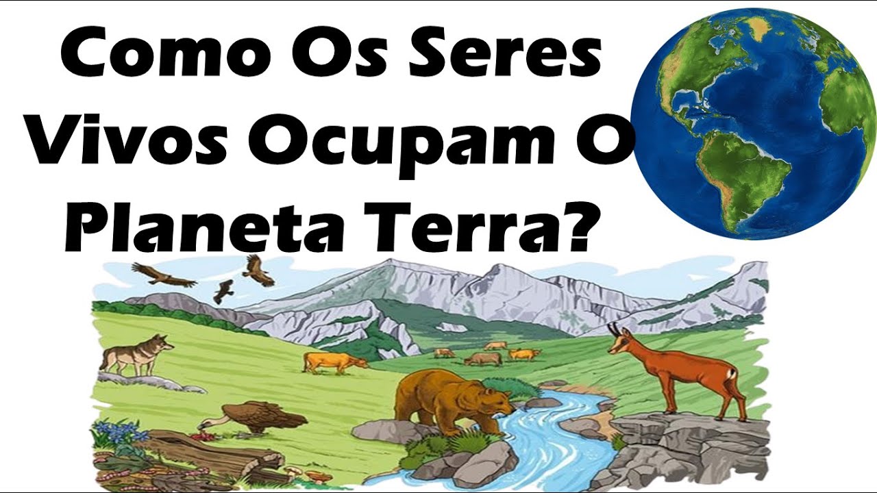 Como Os Seres Vivos Ocupam o Planeta Terra? - YouTube