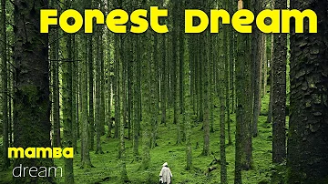 What does   forest.dream meaning , dream interpretation , dreaminh of  forest.