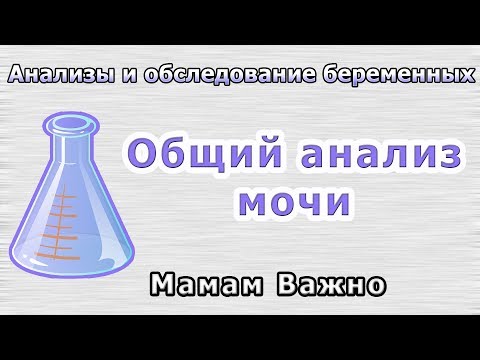 Анализы для беременных: Как сдавать общий анализ мочи?