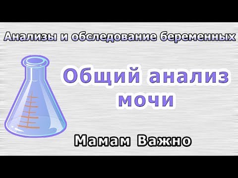 Анализы для беременных: Как сдавать общий анализ мочи?