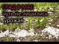 Град в МАЕ! Чуть не лишились урожая...