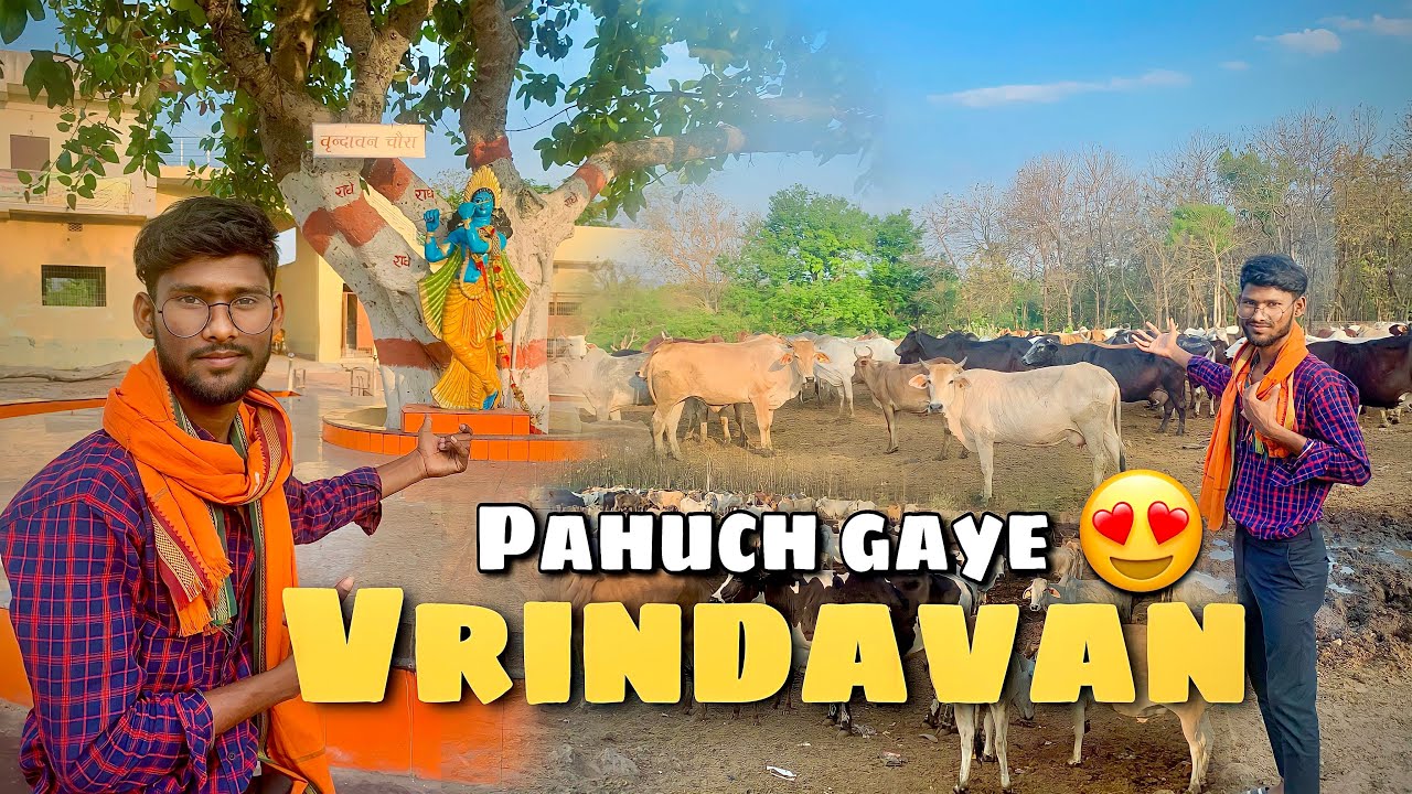 Vrindavan pahch gaye 😍| ganga goshala Katras |