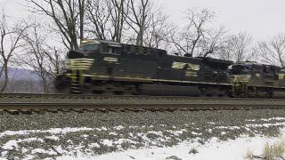 1/25 NS 25P westbound doublestack container train at Cove PA #short #shorts #shortvideo #viralvideo