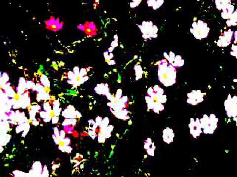 Watch Beagles 1984(short.edit) monthly Project on YouTube Watch Beagles 1984(short.edit) monthly Project on YouTube