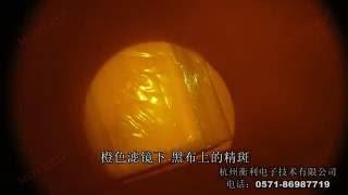 MOVEED® Forensic Multi-wavelengths materials Evidence Application