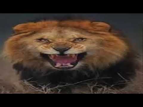 موسيقة حماسية لاتراجع و لا ستسلام