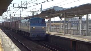 JR貨物 EF66-124号機（吹田）＋コキ20両　貨物列車81レ 2019.11.09