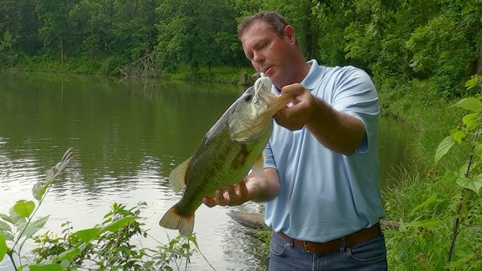 3 Steps to Grow Big Bass in Ponds 