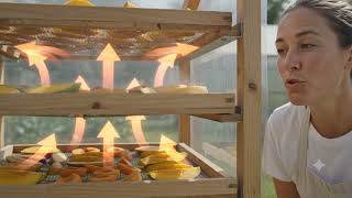 Solar dryer 
