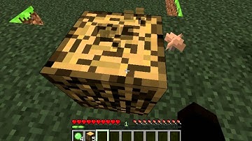 Minecraft: Let