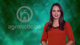 TITULARES AGRONOTICIAS sie7e PROGRAMA 70
