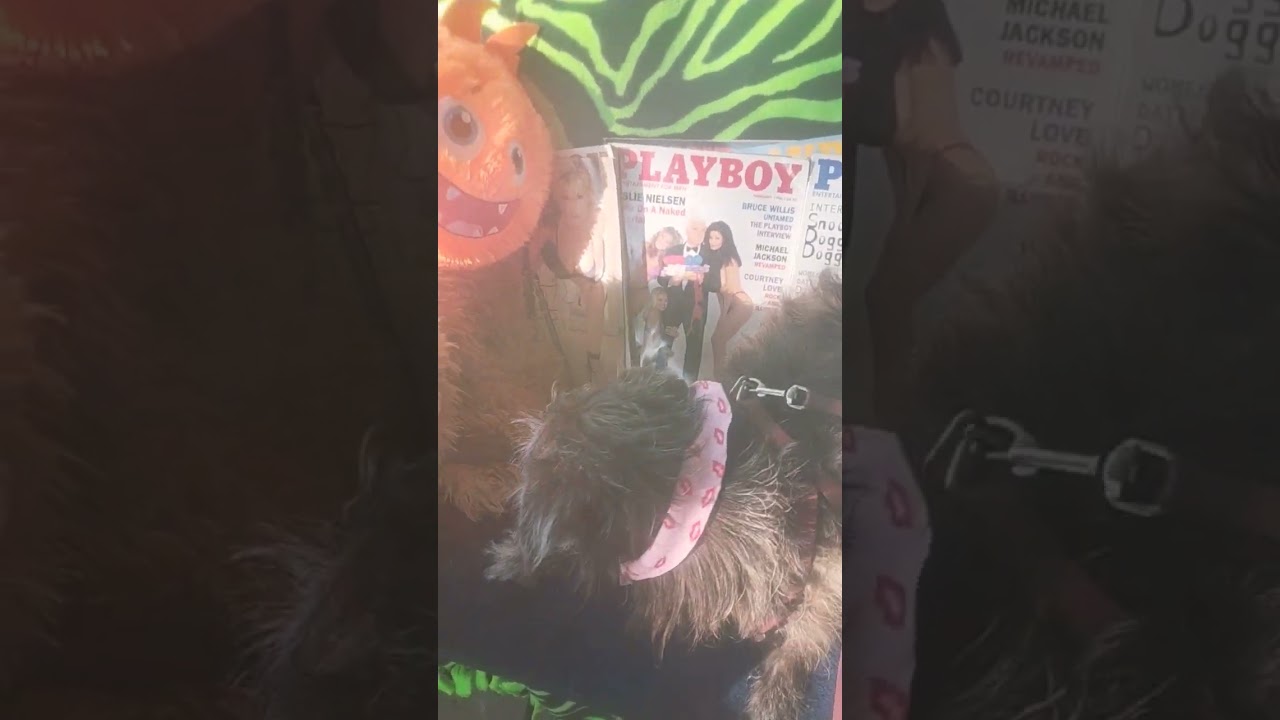 ⁣Hot topic with groundhog. episode 2 Asian porn. lesbian porn.