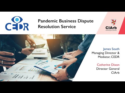 Pandemic Business Dispute Resolution Service