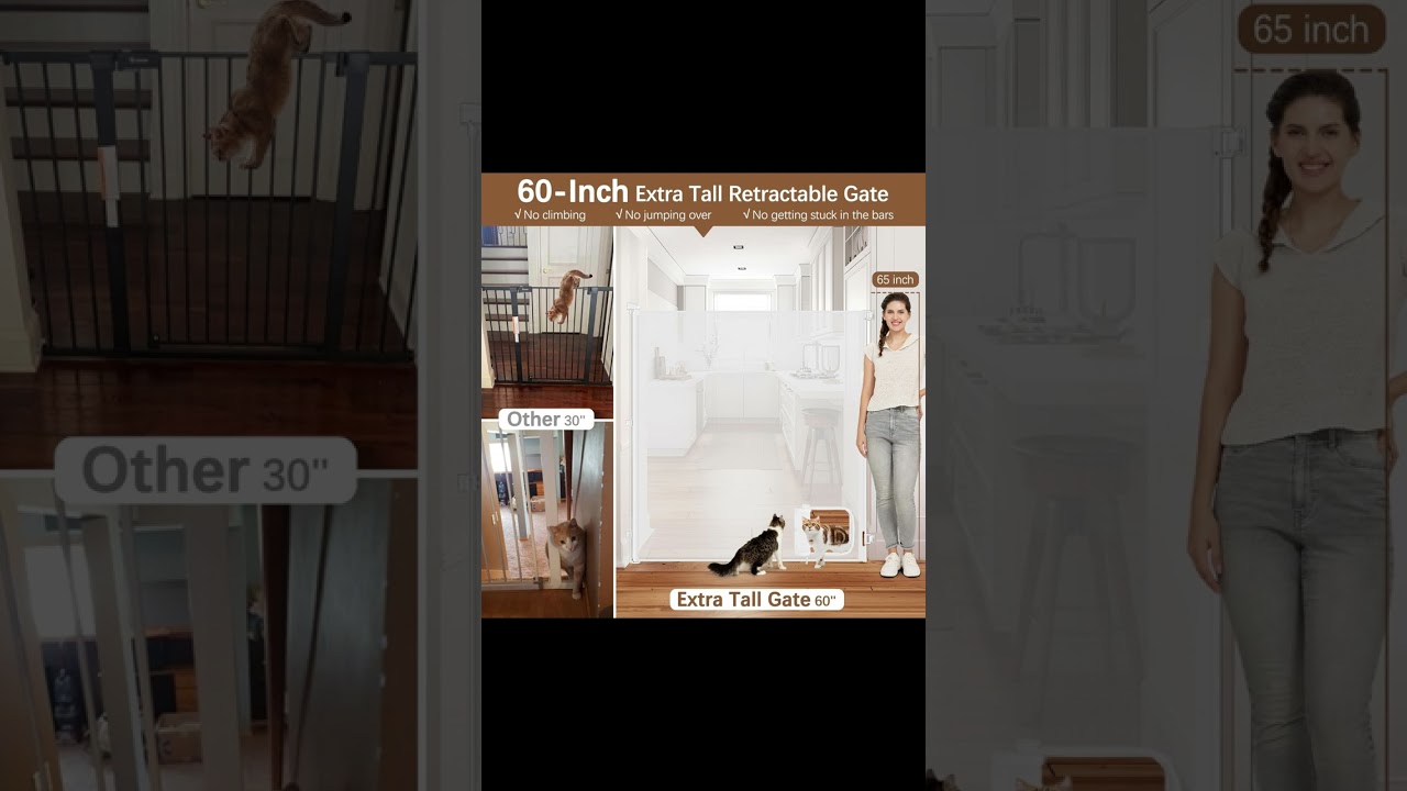 Safety Gate, focusing on every detail of home safety