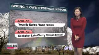 Pleasant spring weather in store for tomorrow   따뜻한 봄날씨 계속 screenshot 4