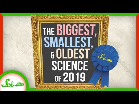 The Tallest, Smallest, and Oldest Science of 2019 thumbnail