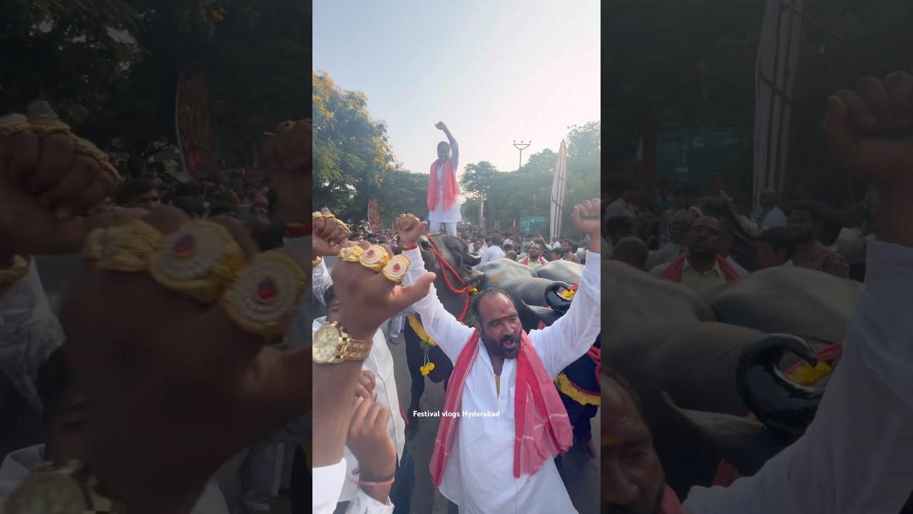 Laddu Yadav teenmar dance at Sadar Sammelan 2025 