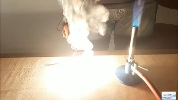 10th Science, Activity 1.1