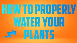 Watering Your Plants Correctly, Tips and Tricks To make it Easy